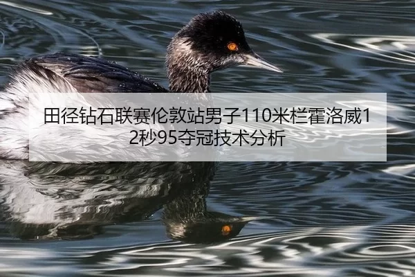田径钻石联赛伦敦站男子110米栏霍洛威12秒95夺冠技术分析